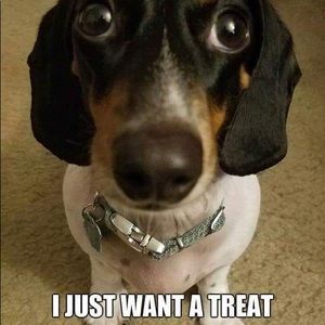 Meet your Posher, Jeff